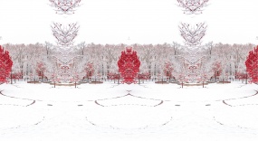 红色雪松下的美丽雪景flash动画